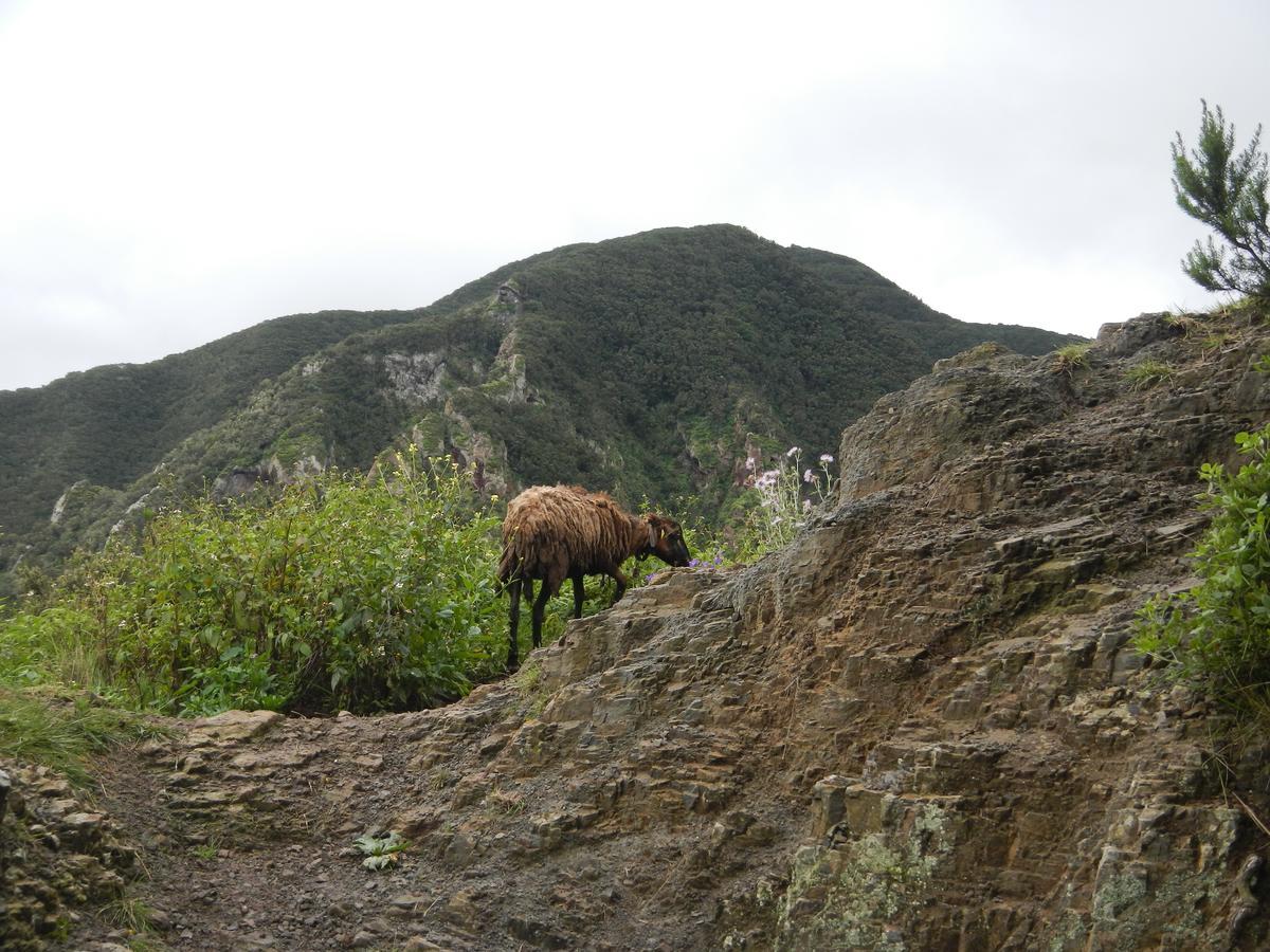 Montes De Anaga Hostal *